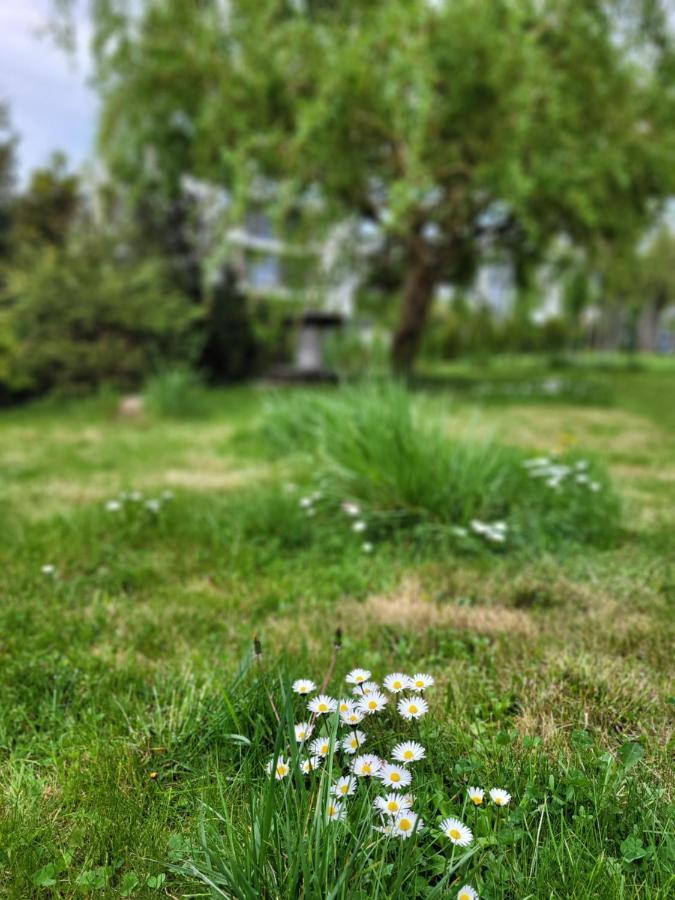 Maciejkowa Appartement Szczecin Buitenkant foto