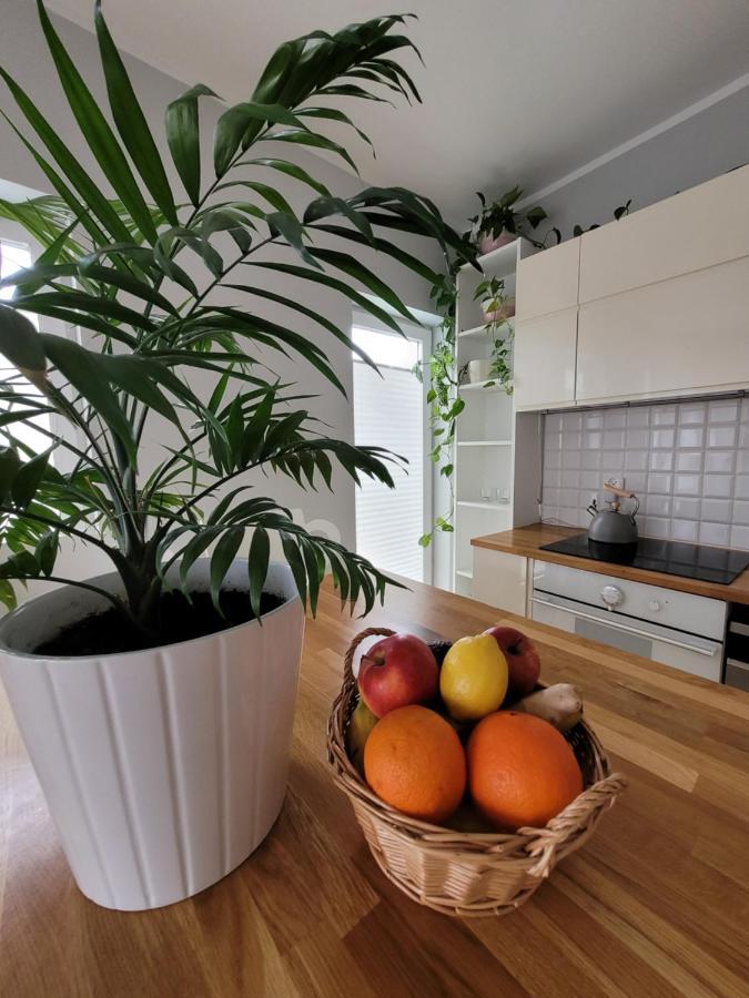 Maciejkowa Appartement Szczecin Buitenkant foto